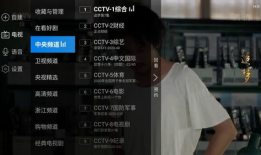 x91k 看电视直播,畅享海量频道，尽享视听盛宴