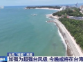 台风格美,探寻台湾独特魅力与风情