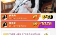 k91g直播打什么段,揭秘电竞高手的段位巅峰对决
