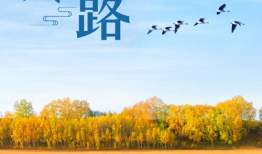 今日寒露,秋意渐浓，养生保健正当时