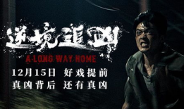 电影追凶,生死较量，正义终将到来
