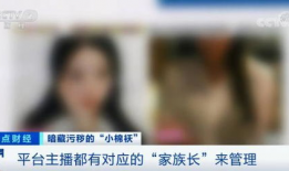 韩国成人性爱直播平台,性爱直播的灰色地带