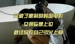 韩国电影女仆,韩国电影中的女仆传奇