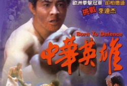电影中华英雄,剑指苍穹，热血铸就传奇