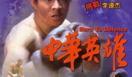 电影中华英雄,剑指苍穹，热血铸就传奇