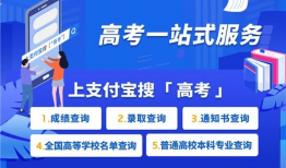 高考查分,揭秘学子们的辉煌时刻